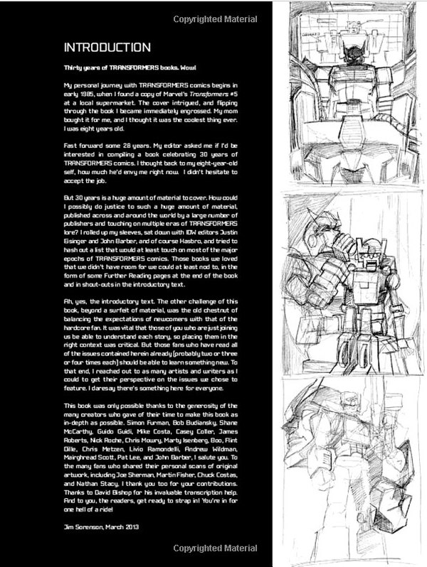 Transformers 30th Anniversary Collection Hardcover Book Details And Images From IDW Publishing  (6 of 24)